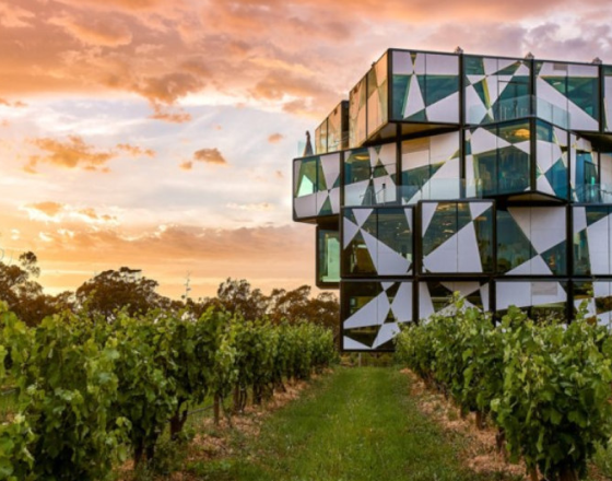 D'ARENBERG CUBE McLaren Vale