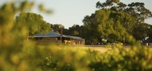 Historic winery building at Pindarie surrounded by vineyards and large trees